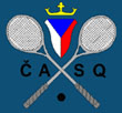 ČSAQ